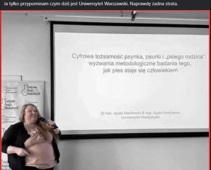 nowe ogloszenie