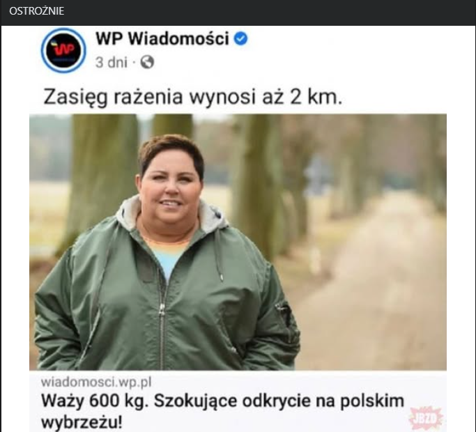 nowe ogloszenie